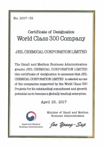 World Class 300 Company